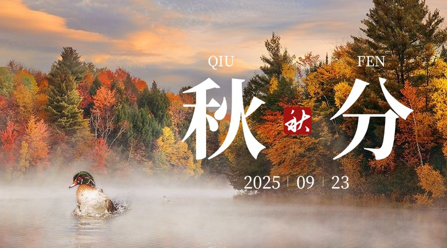 213070f1368da04535a2cc8d801bc764bacfbaf21a261-7bzIGO