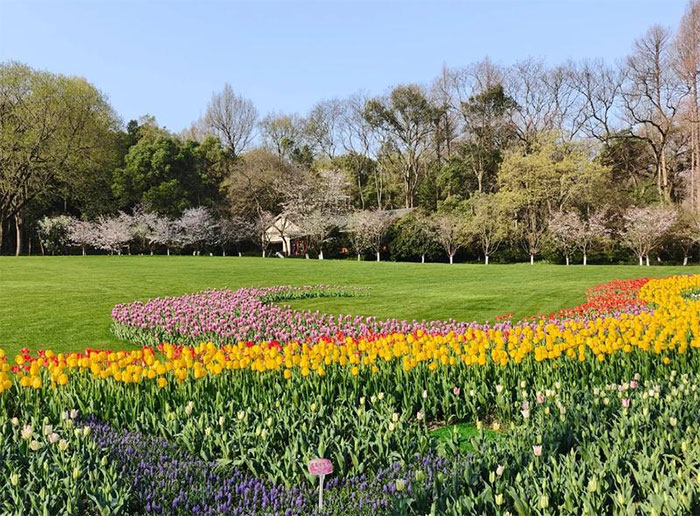 人间最美三月天！