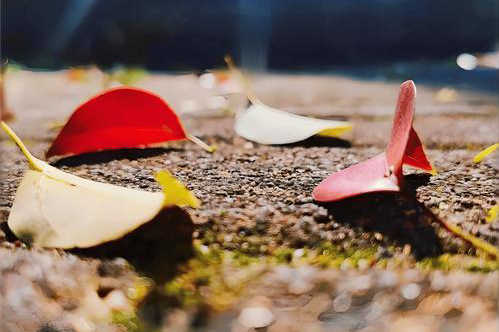 几句话，胜读10年书！