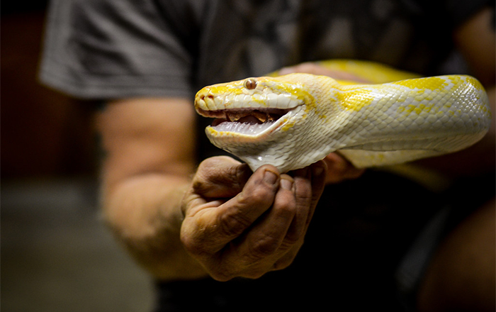 蛇不知道自己有毒！
